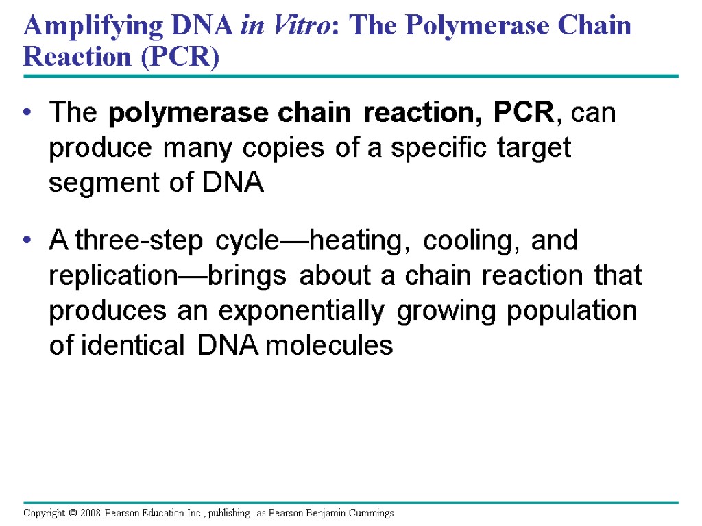 Amplifying DNA in Vitro: The Polymerase Chain Reaction (PCR) The polymerase chain reaction, PCR,